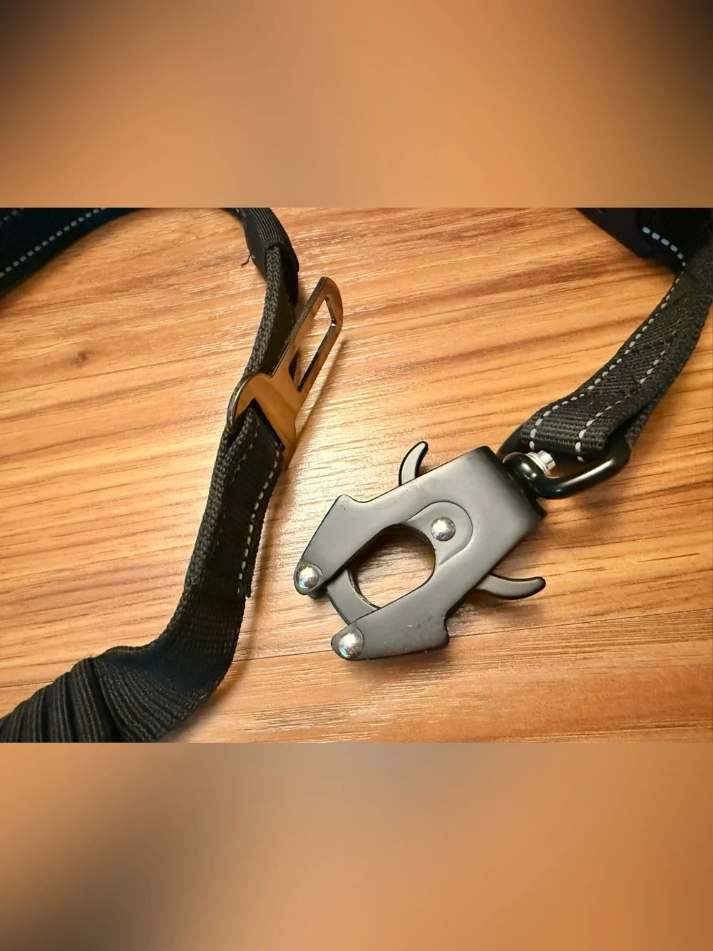 Tactical Bungee Dog Leash